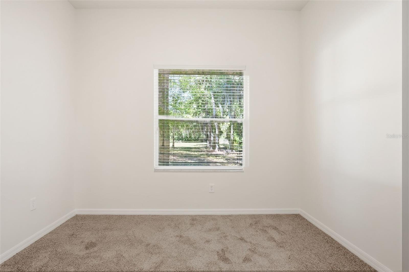 4745 PATAGONIA PL, LAND O LAKES, FL, 34638