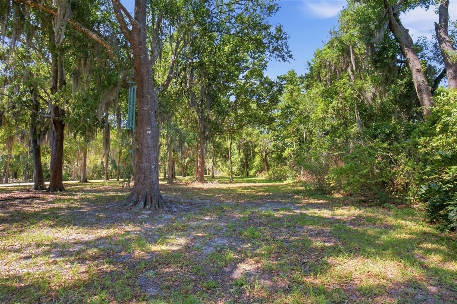 4745 PATAGONIA PL, LAND O LAKES, FL, 34638