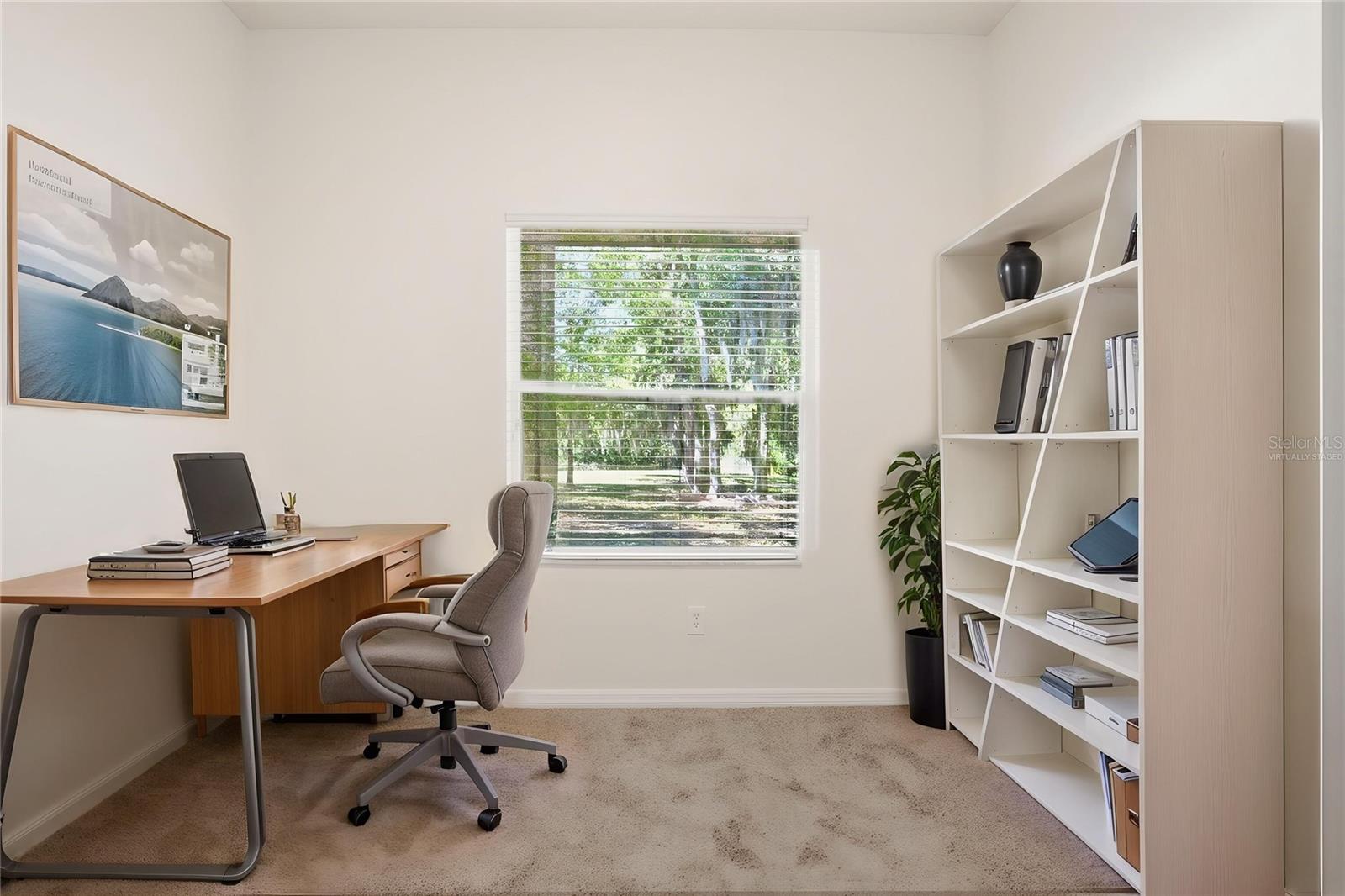 4745 PATAGONIA PL, LAND O LAKES, FL, 34638