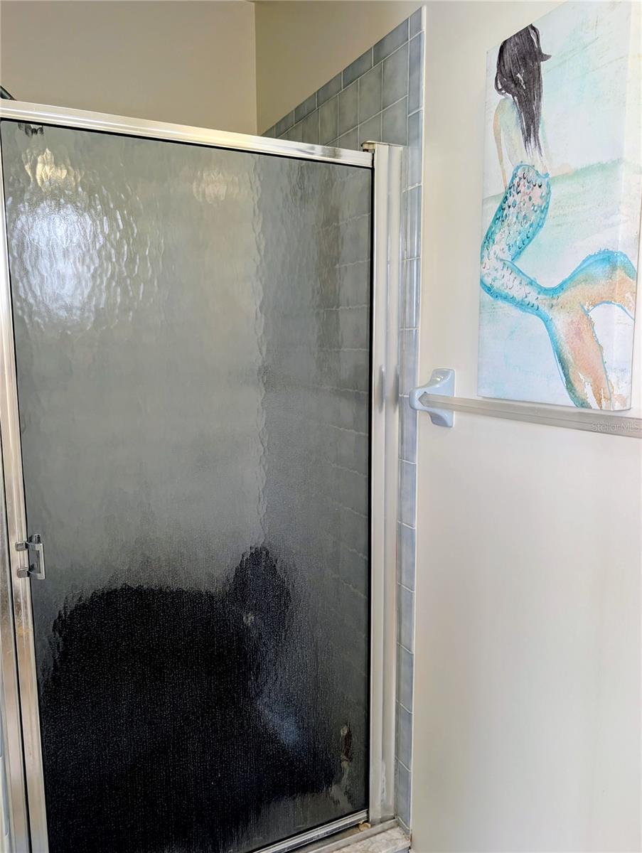 1235 E HARTFORD ST, HERNANDO, FL, 34442