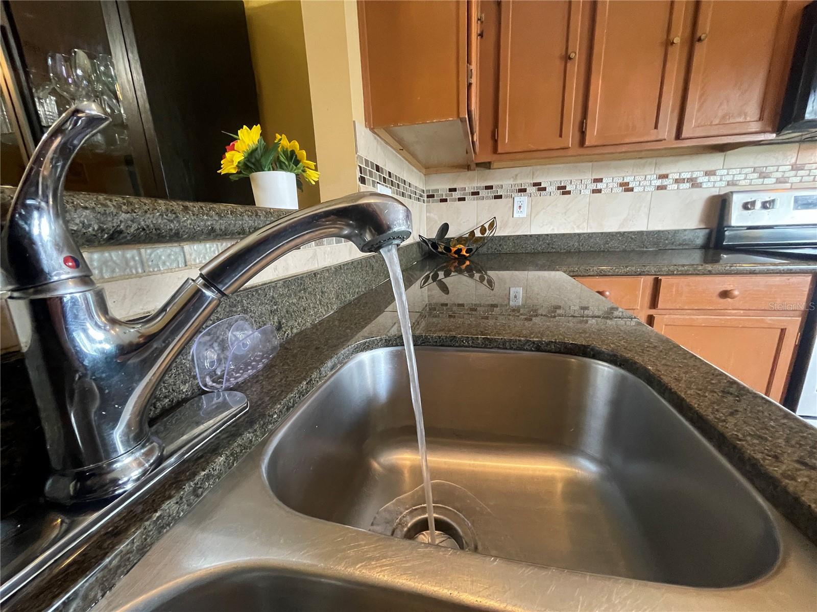 3050 GOLDEN ROCK DR, ORLANDO, FL, 32818