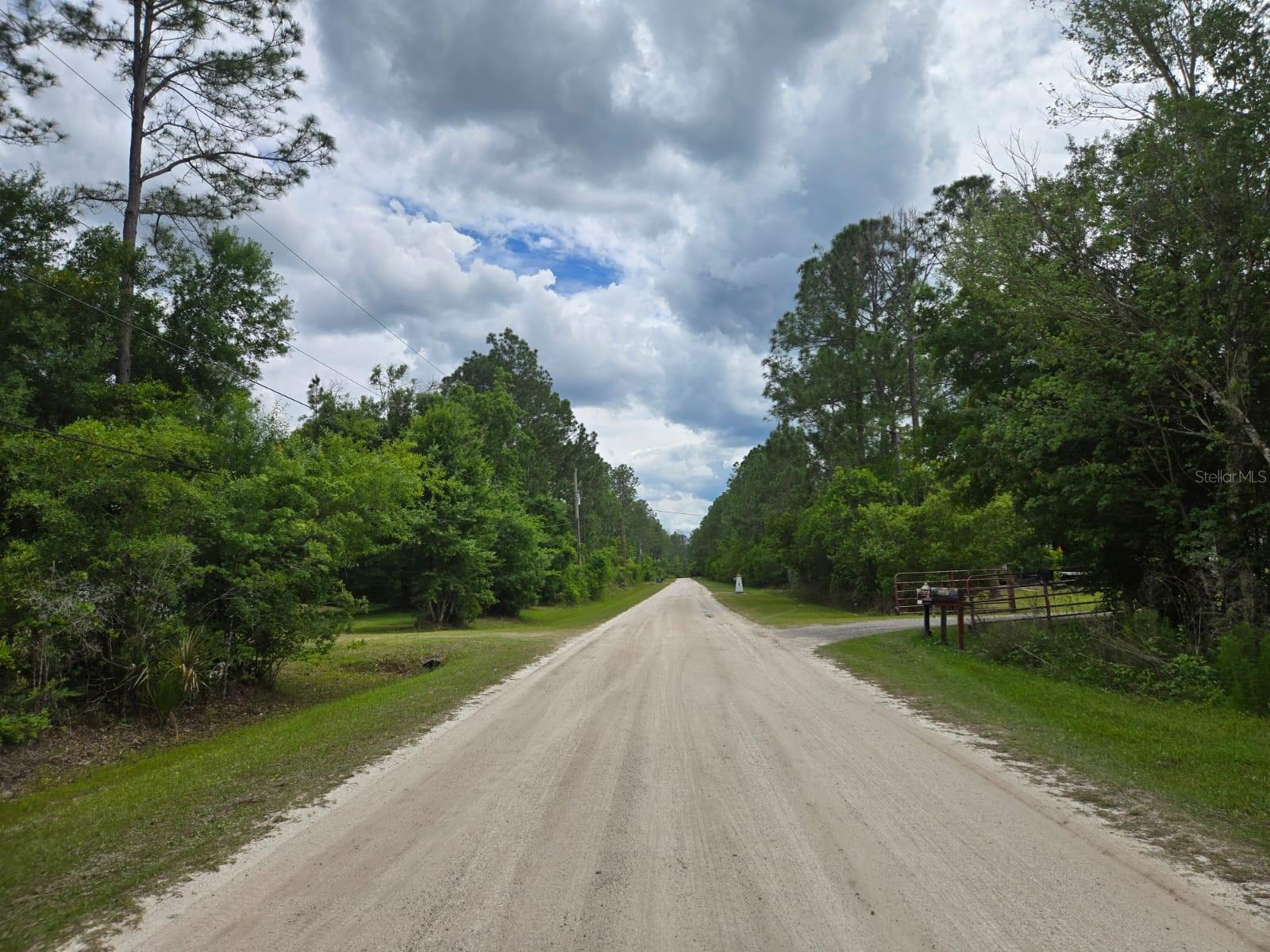 1747 CANDLEBERRY ST, BUNNELL, FL, 32110