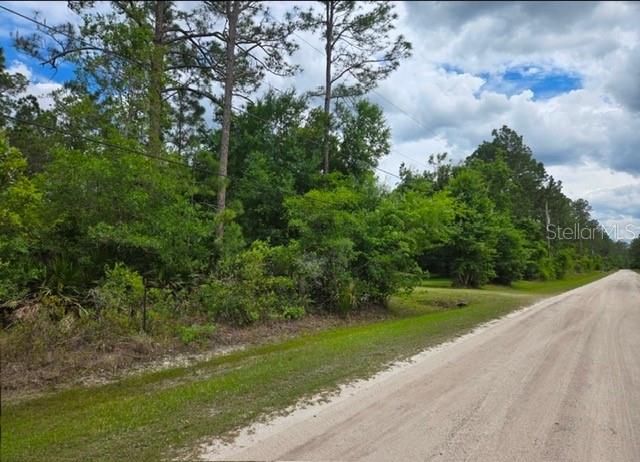 1747 CANDLEBERRY ST, BUNNELL, FL, 32110