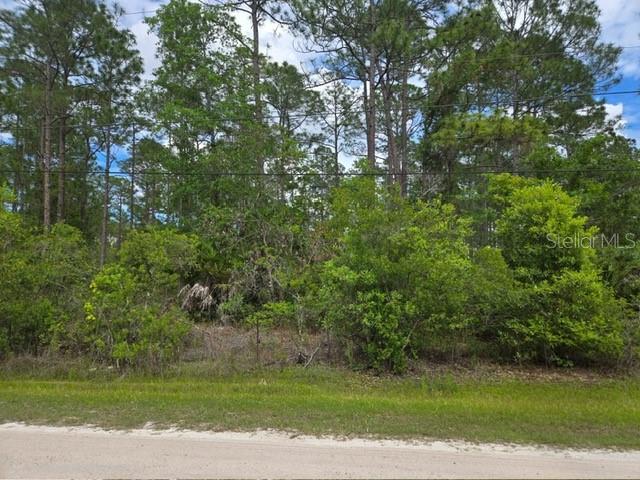 1747 CANDLEBERRY ST, BUNNELL, FL, 32110