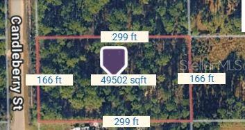 1747 CANDLEBERRY ST, BUNNELL, FL, 32110