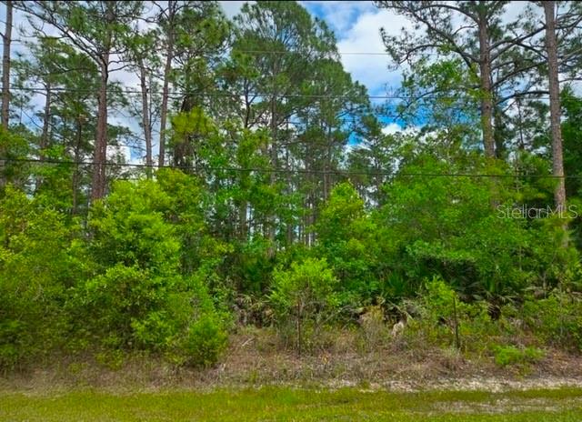 1747 CANDLEBERRY ST, BUNNELL, FL, 32110