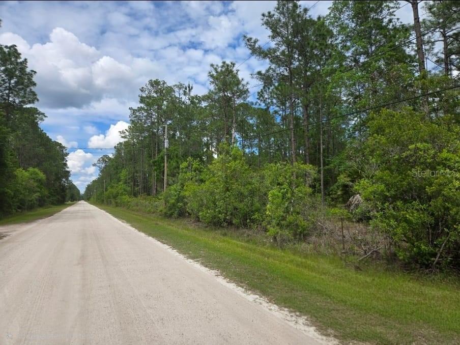 1747 CANDLEBERRY ST, BUNNELL, FL, 32110