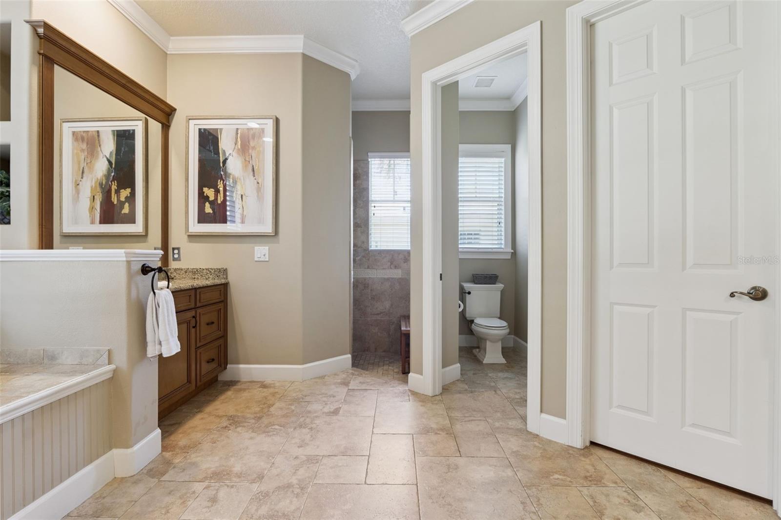 5421 TILDENS GROVE BLVD, WINDERMERE, FL, 34786