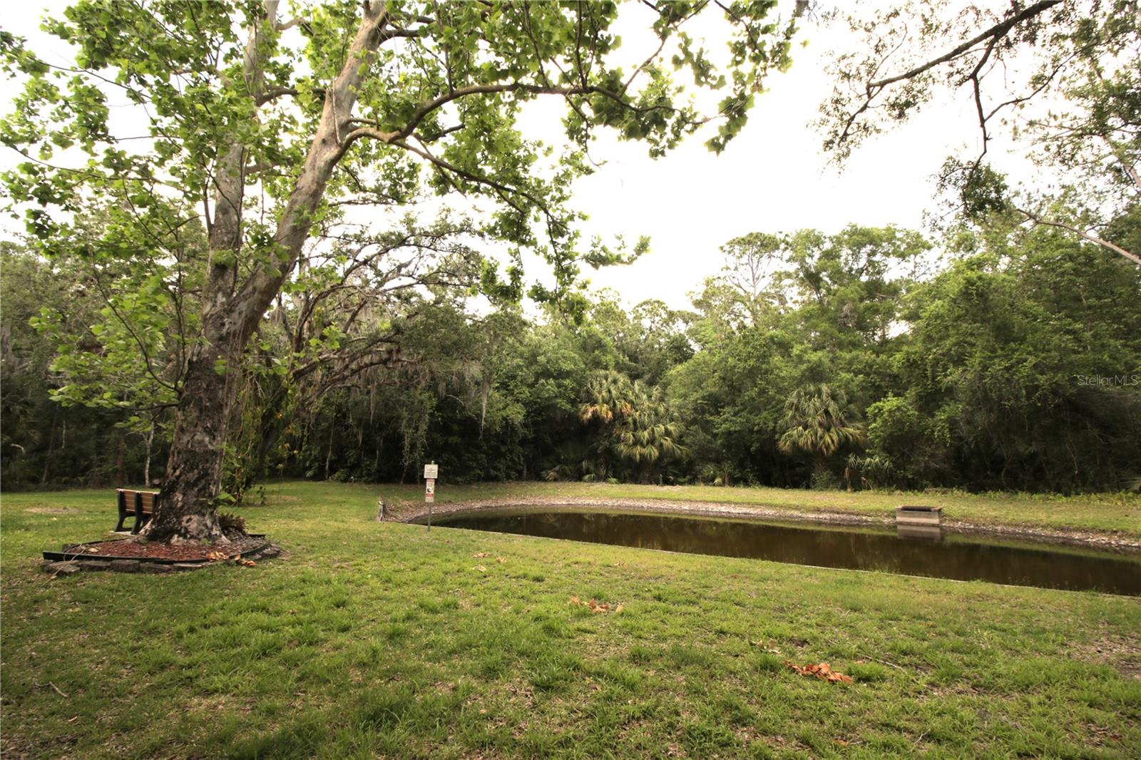 3232 LAKE PINE WAY E #G1, TARPON SPRINGS, FL, 34688