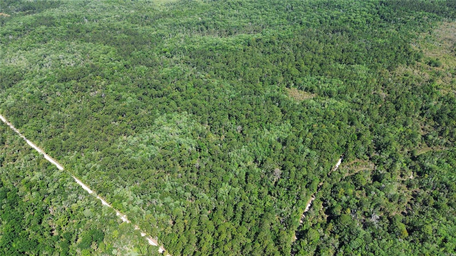 Tract 99 SW CR-347, CHIEFLAND, FL, 32644