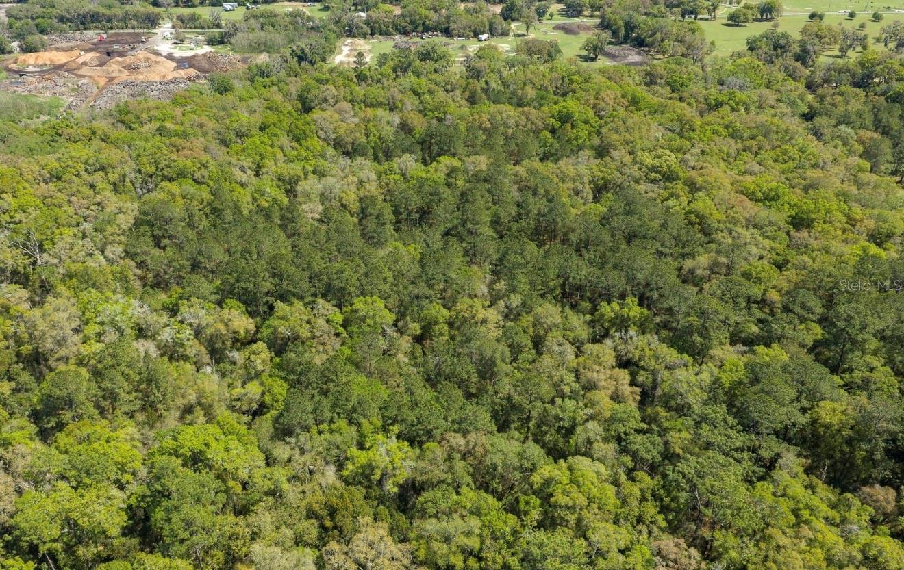 NW 38TH AVENUE RD, OCALA, FL, 34482