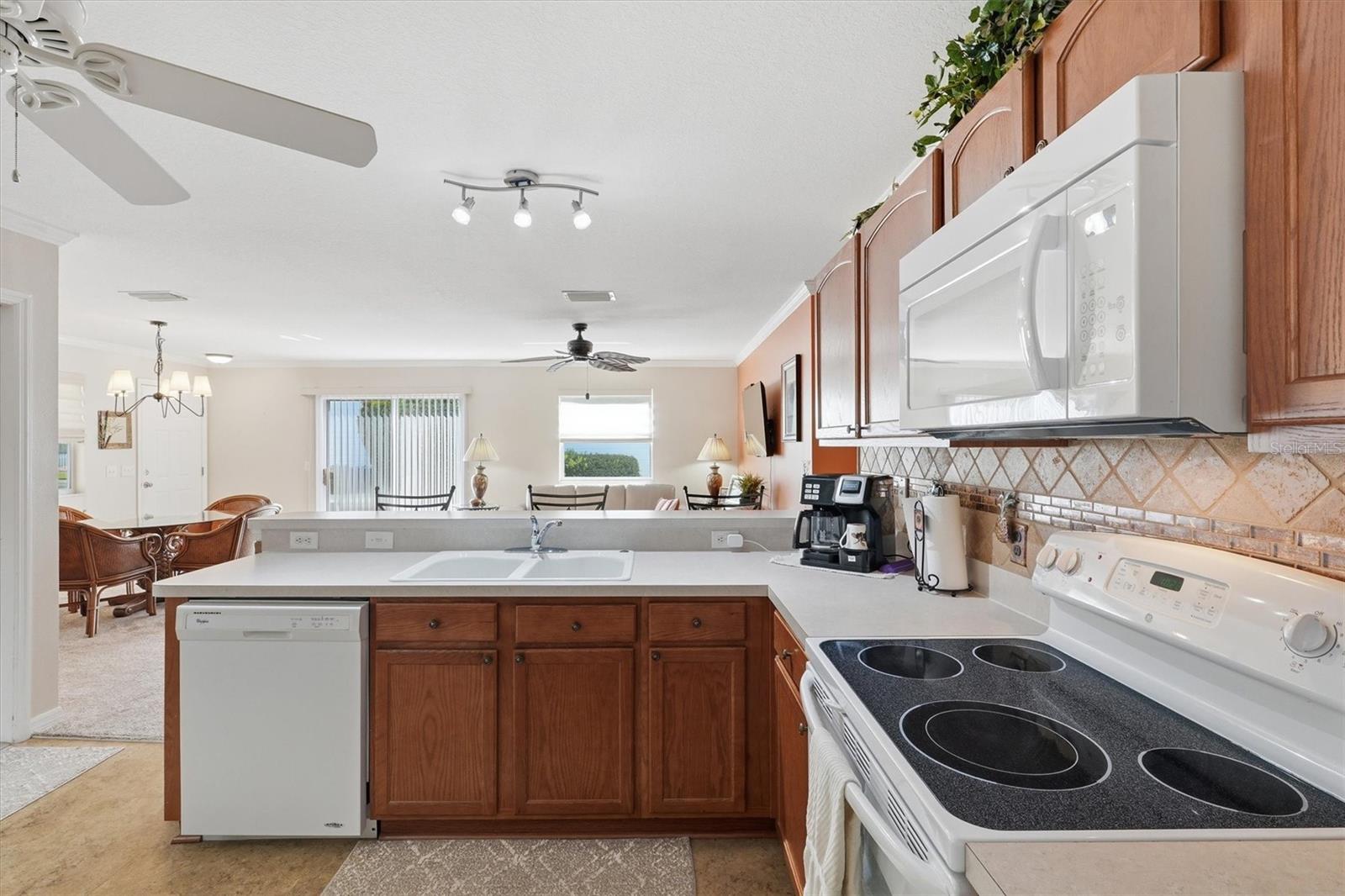 1402 BUNKER LN, THE VILLAGES, FL, 32162