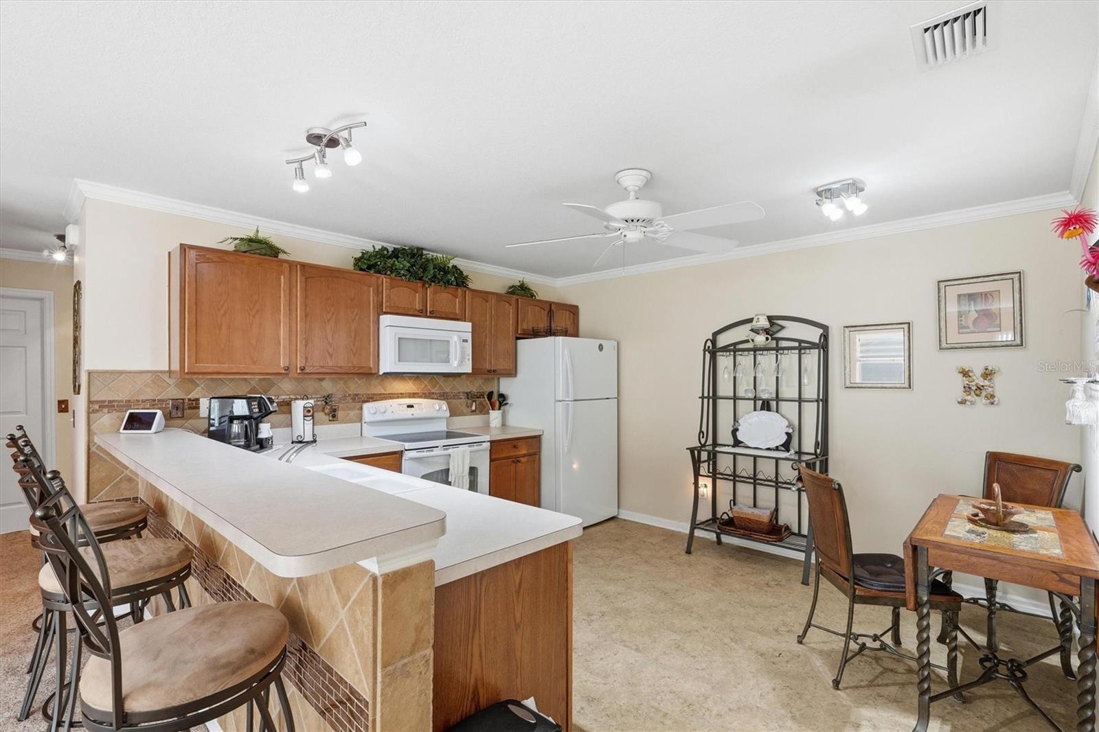 1402 BUNKER LN, THE VILLAGES, FL, 32162