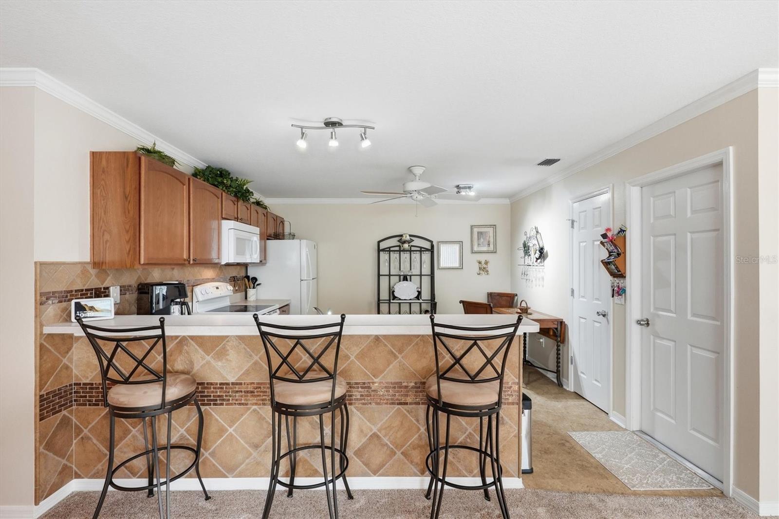 1402 BUNKER LN, THE VILLAGES, FL, 32162