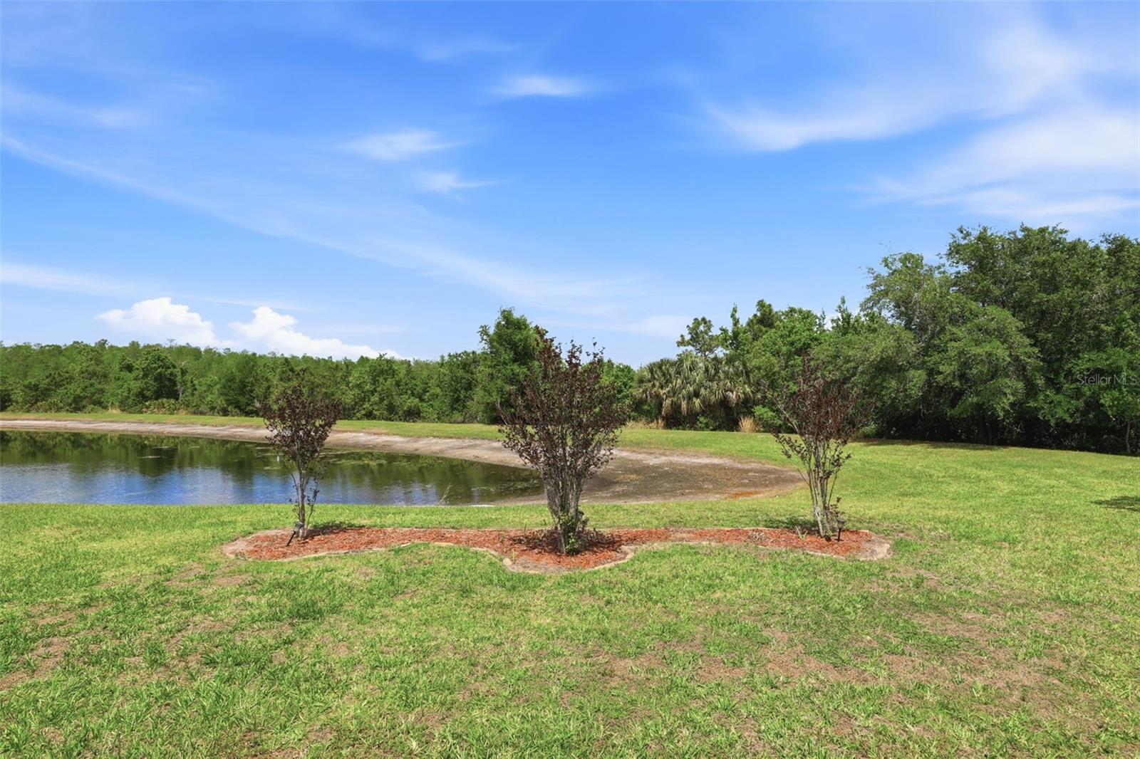 824 LAKE BISCAYNE WAY, ORLANDO, FL, 32824