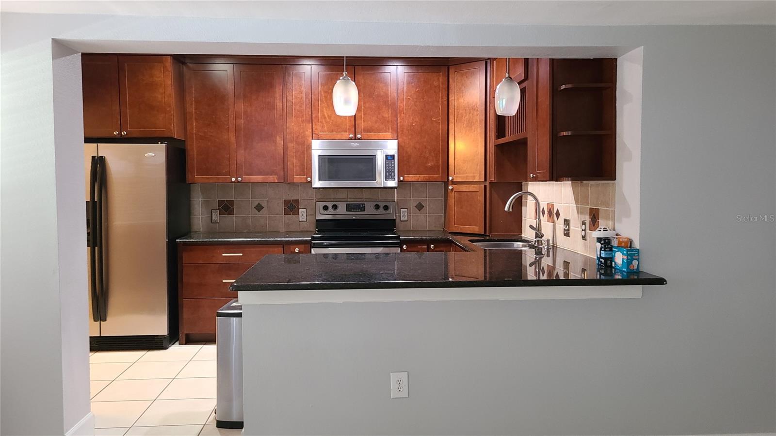3817 W SAN RAFAEL ST, TAMPA, FL, 33629