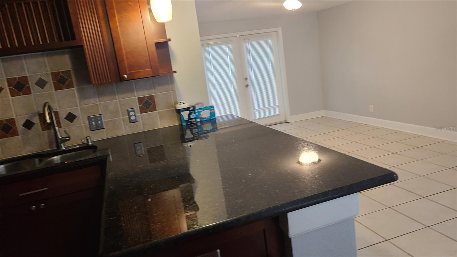 3817 W SAN RAFAEL ST, TAMPA, FL, 33629