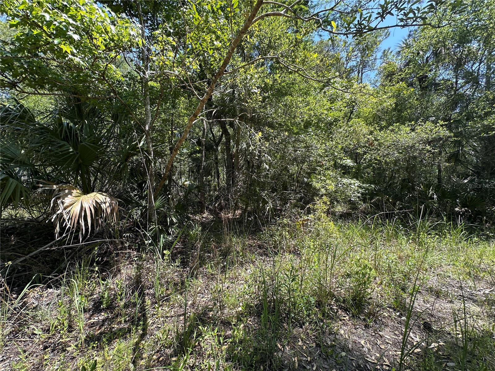 Tract 100 SW CR-347, CHIEFLAND, FL, 32644