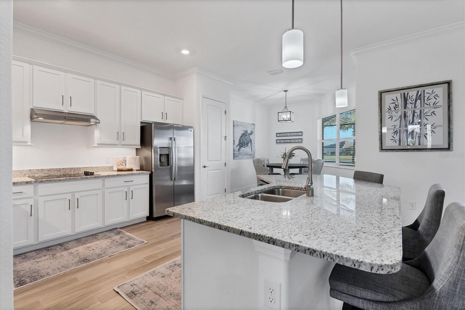 25228 LONGMEADOW DR, PUNTA GORDA, FL, 33955