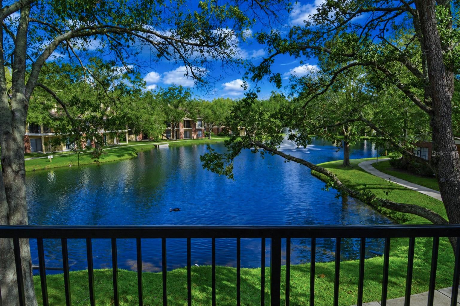 8641 FANCY FINCH DR #204, TAMPA, FL, 33614