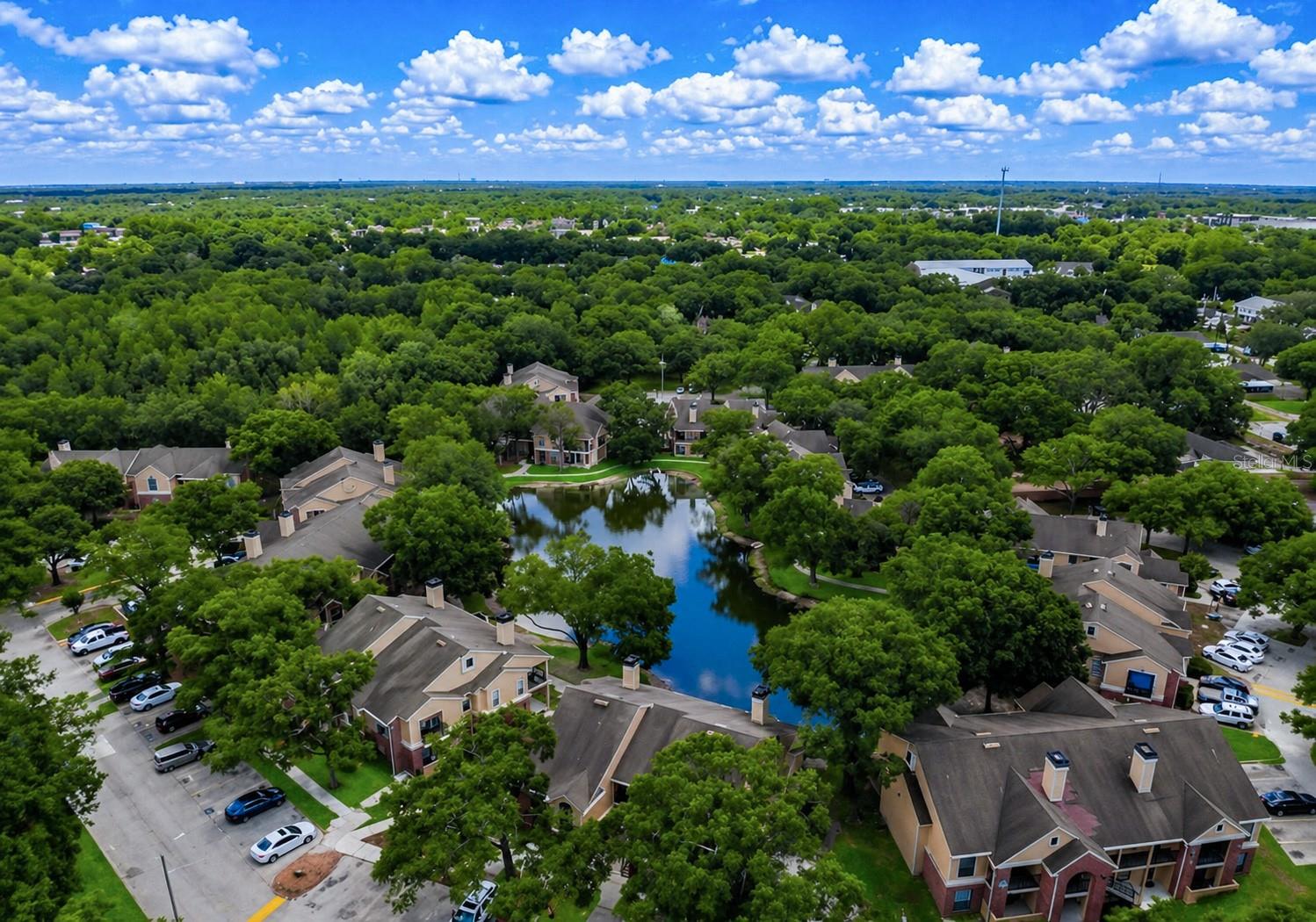 8641 FANCY FINCH DR #204, TAMPA, FL, 33614