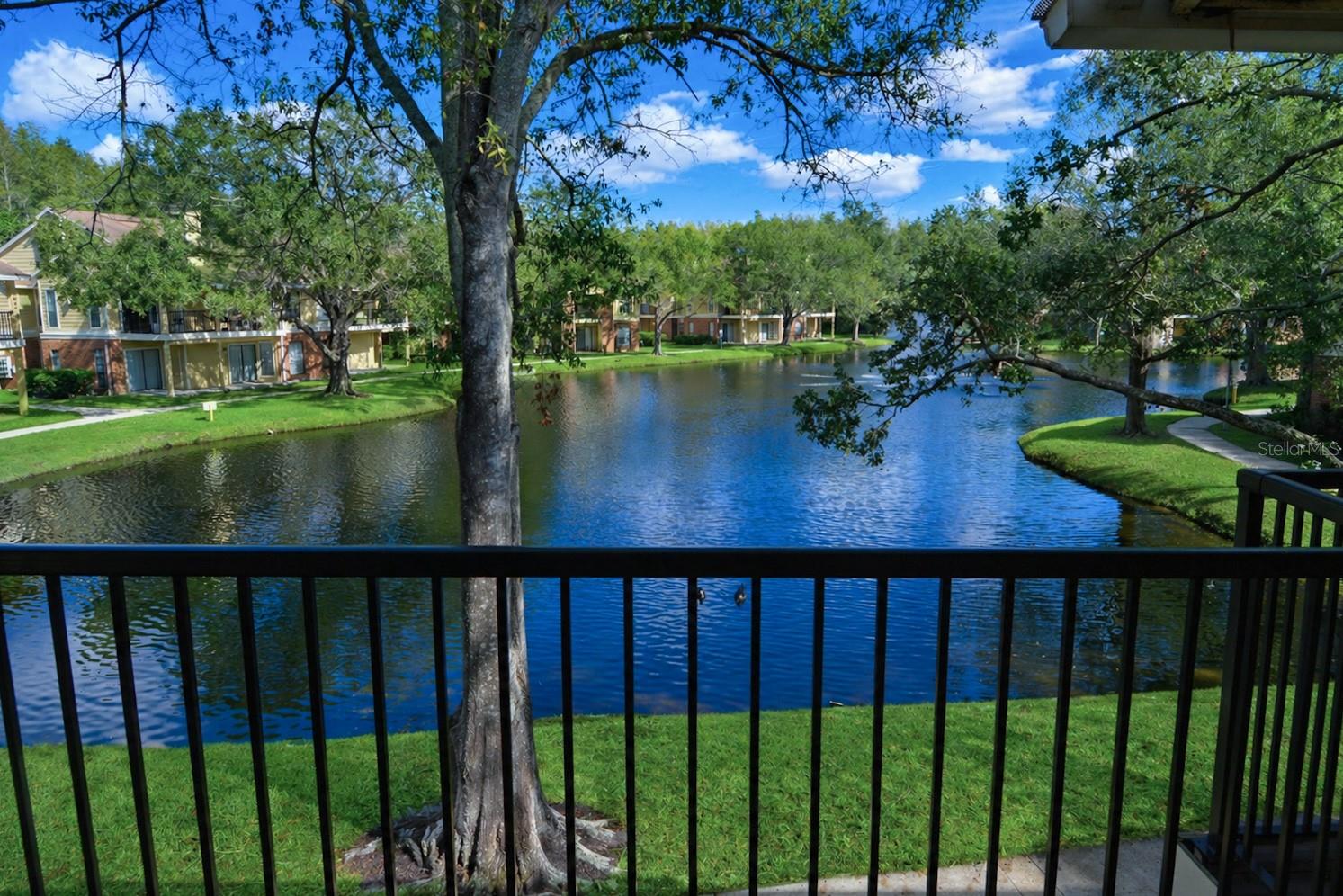 8641 FANCY FINCH DR #204, TAMPA, FL, 33614