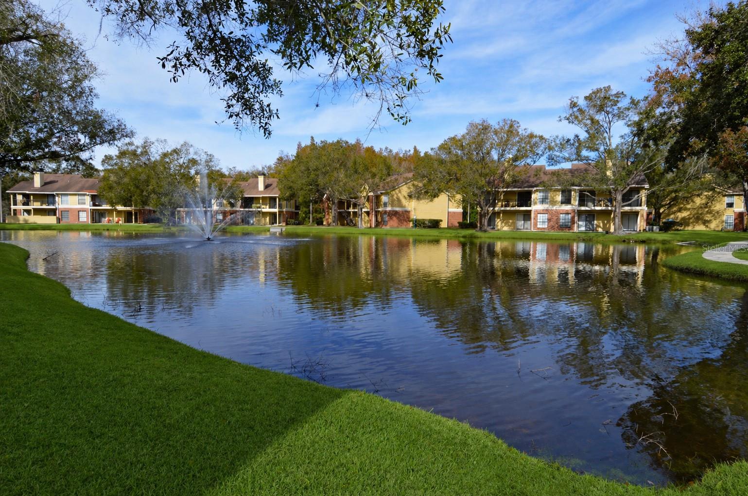 8641 FANCY FINCH DR #204, TAMPA, FL, 33614