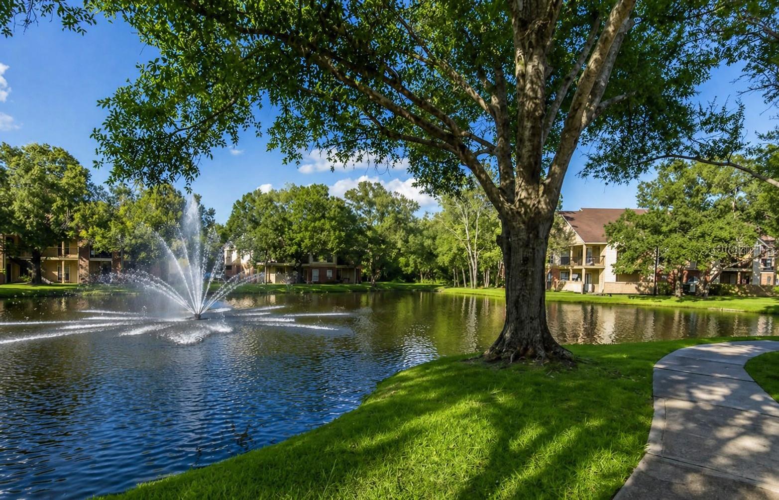 8641 FANCY FINCH DR #204, TAMPA, FL, 33614