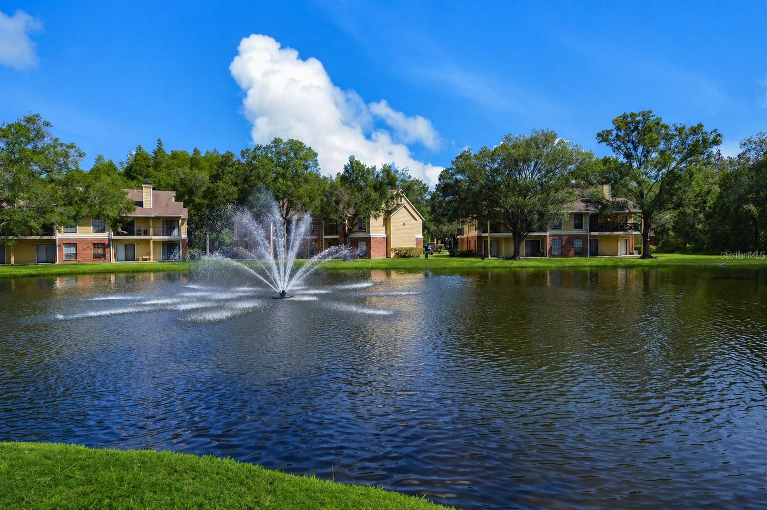 8641 FANCY FINCH DR #204, TAMPA, FL, 33614