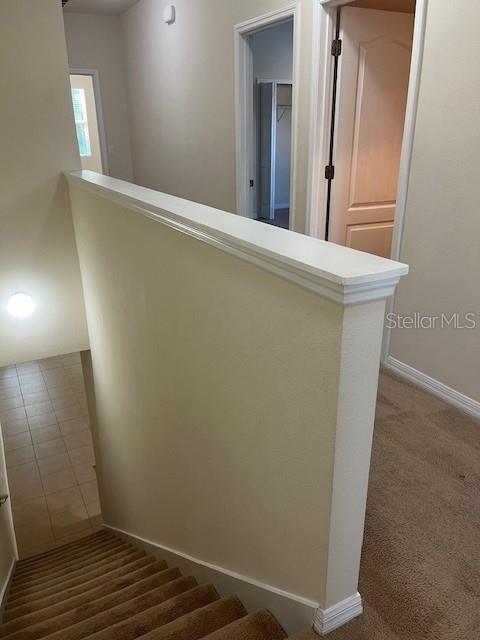 14422 DESERT HAVEN ST #4206, WINDERMERE, FL, 34786