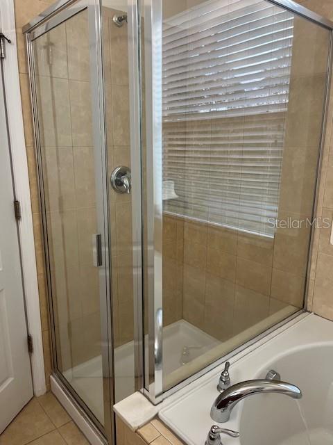 14422 DESERT HAVEN ST #4206, WINDERMERE, FL, 34786