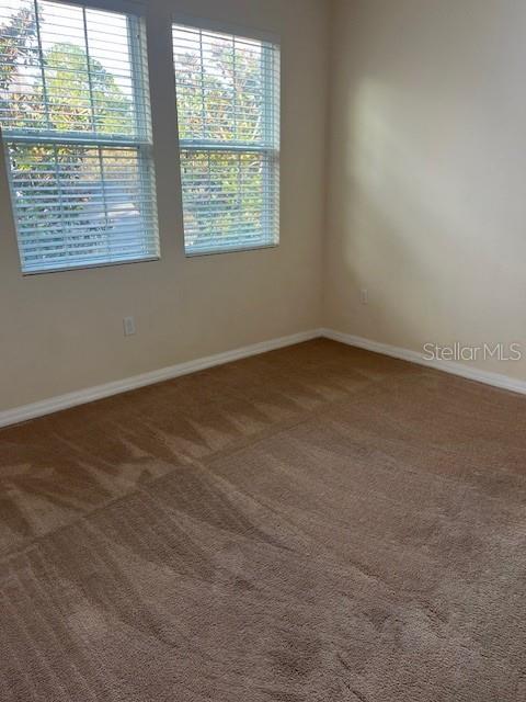 14422 DESERT HAVEN ST #4206, WINDERMERE, FL, 34786