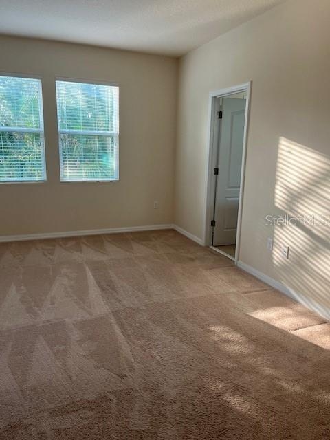 14422 DESERT HAVEN ST #4206, WINDERMERE, FL, 34786