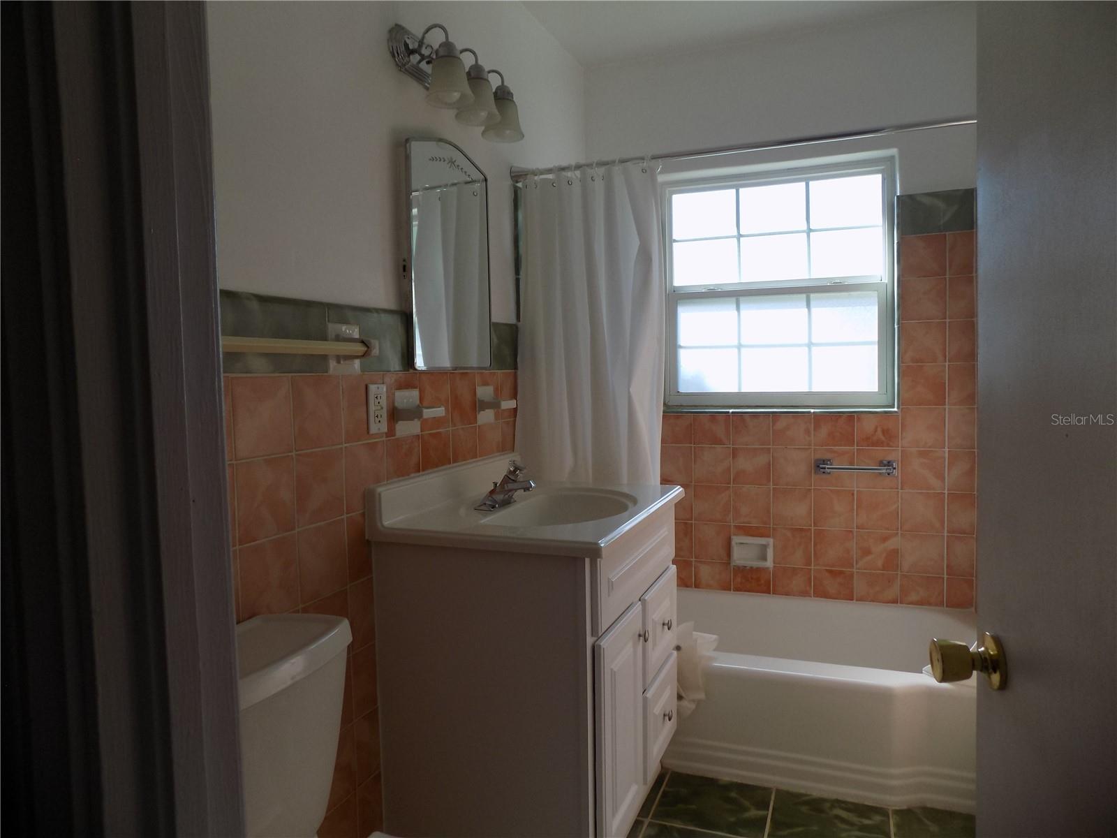 1485 MORNINGSIDE DR, MOUNT DORA, FL, 32757