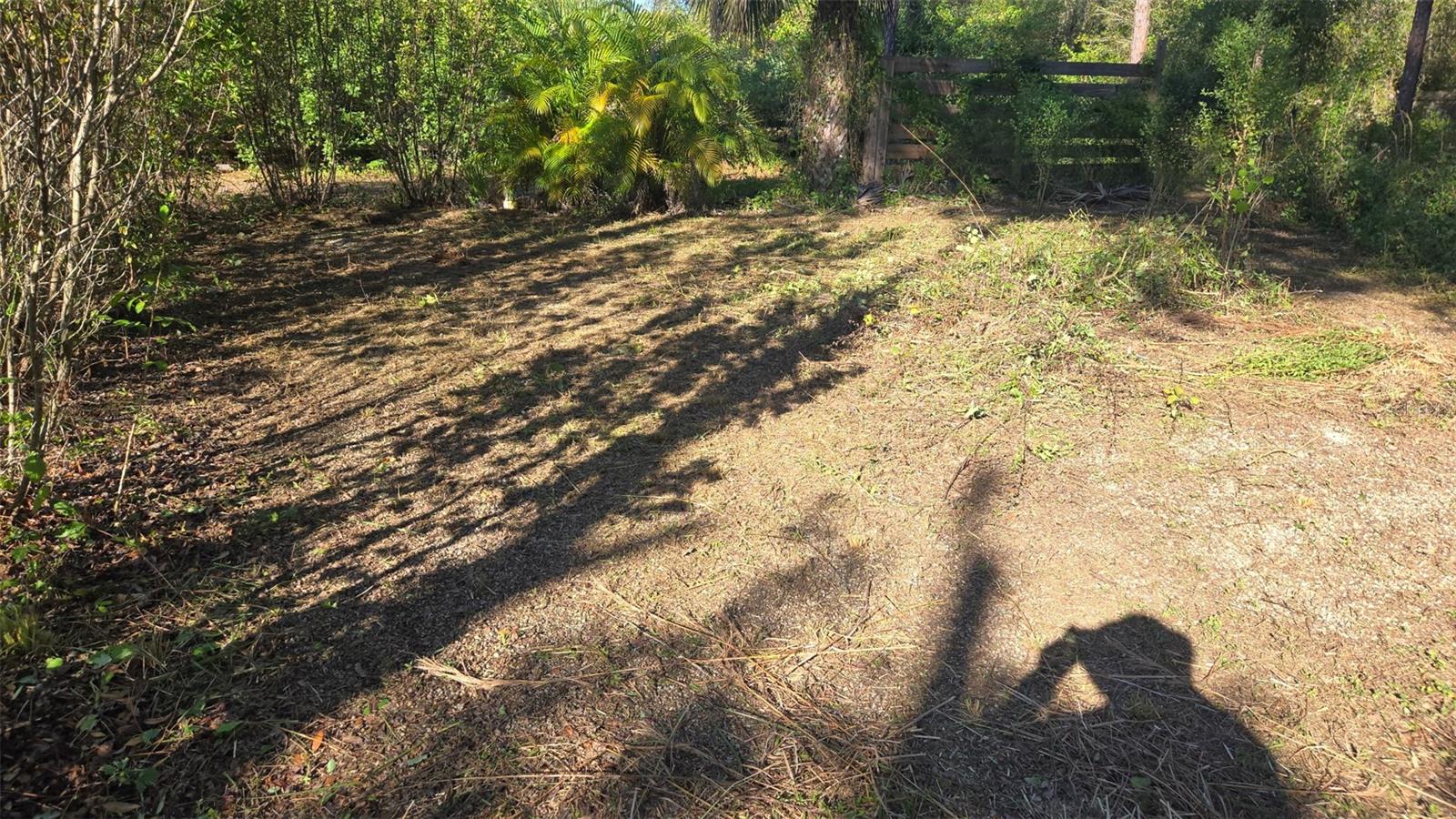 1231 RAMUS ST E, LEHIGH ACRES, FL, 33974