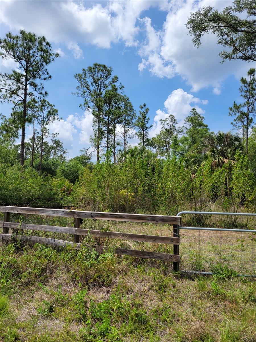 1231 RAMUS ST E, LEHIGH ACRES, FL, 33974