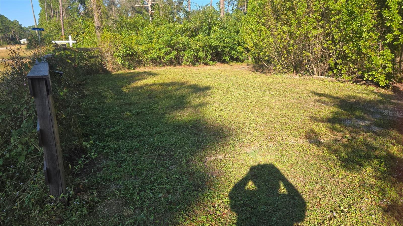 1231 RAMUS ST E, LEHIGH ACRES, FL, 33974