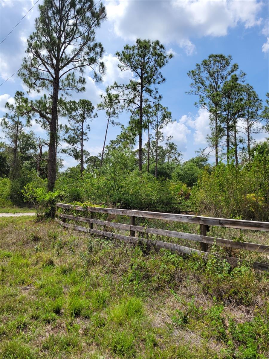 1231 RAMUS ST E, LEHIGH ACRES, FL, 33974