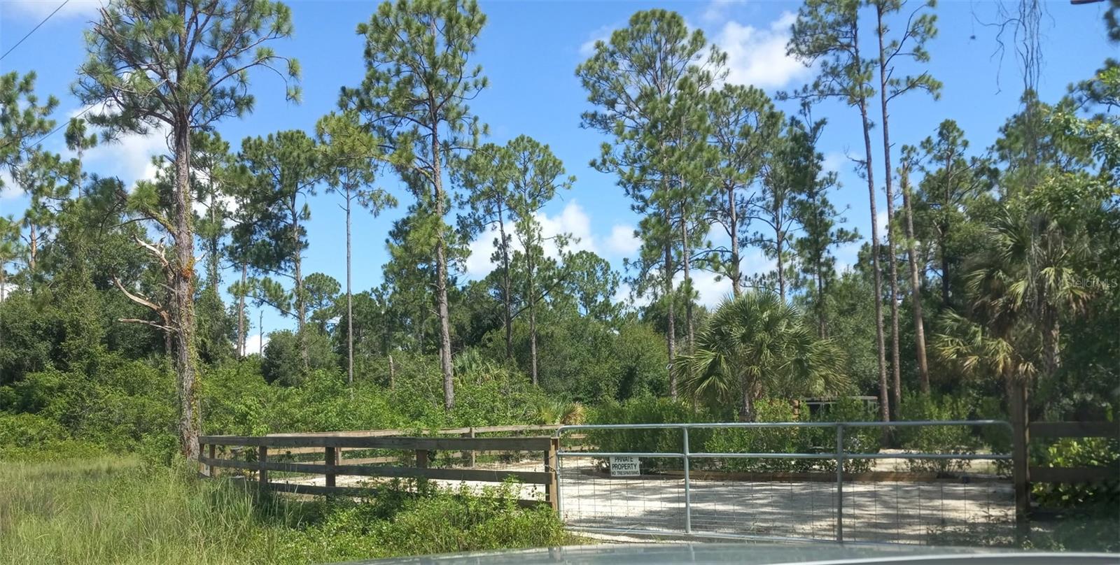 1231 RAMUS ST E, LEHIGH ACRES, FL, 33974