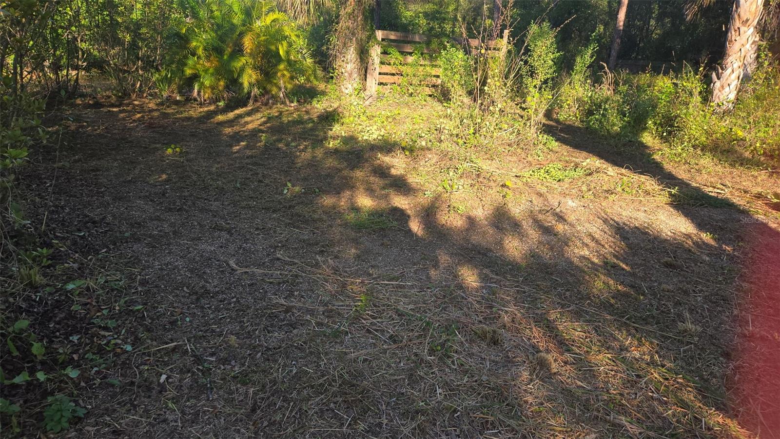 1231 RAMUS ST E, LEHIGH ACRES, FL, 33974