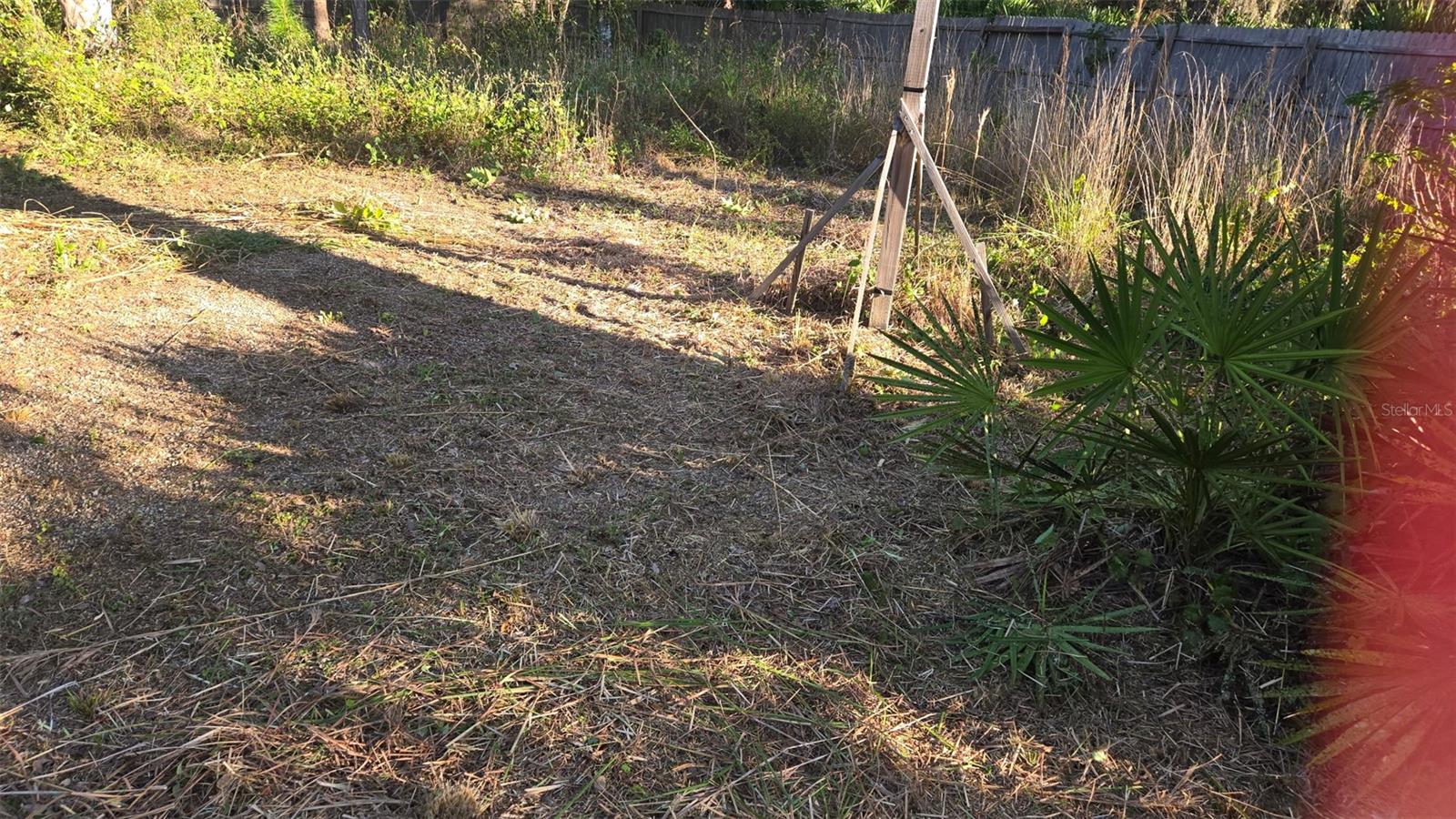 1231 RAMUS ST E, LEHIGH ACRES, FL, 33974