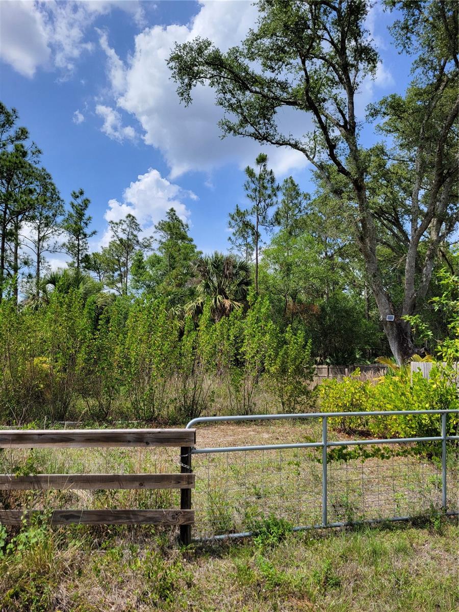 1231 RAMUS ST E, LEHIGH ACRES, FL, 33974