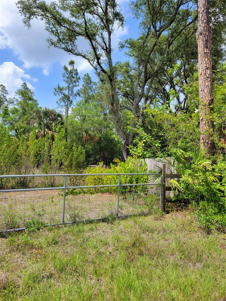 1231 RAMUS ST E, LEHIGH ACRES, FL, 33974