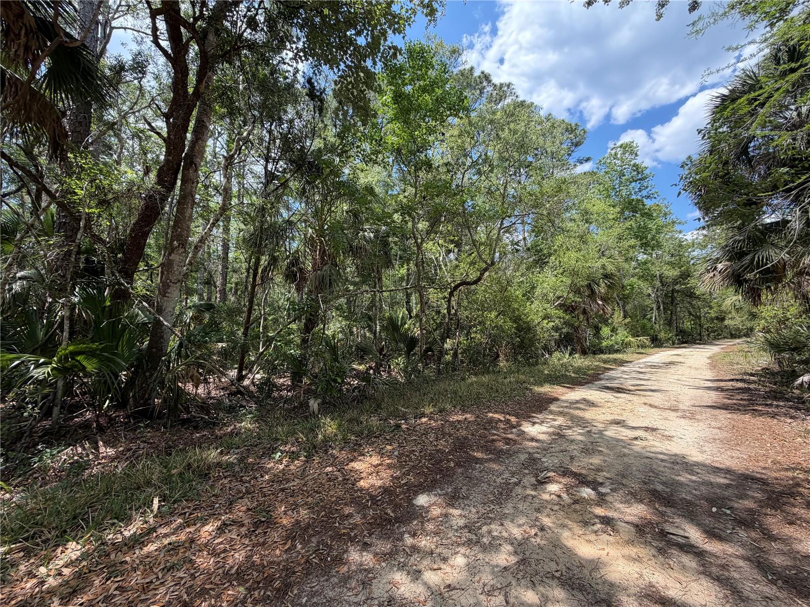 Tract 102 SW CR-347, CHIEFLAND, FL, 32644