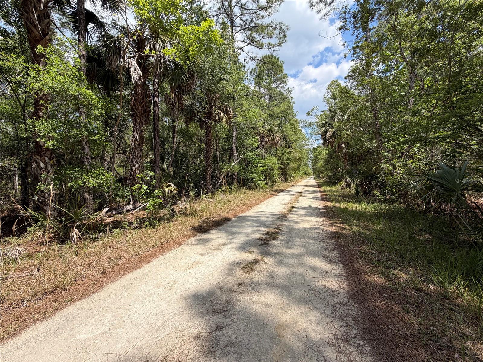 Tract 102 SW CR-347, CHIEFLAND, FL, 32644