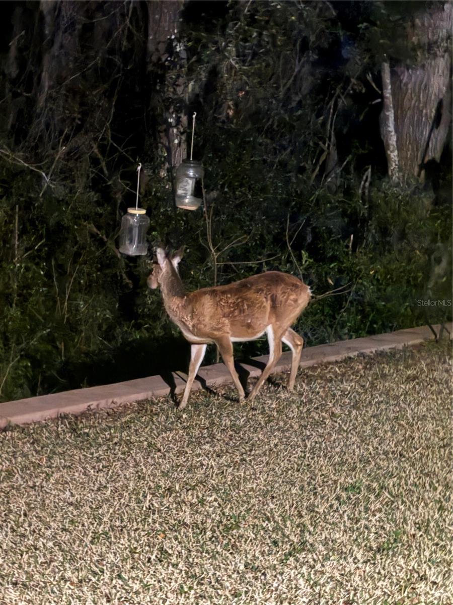 19511 SW 77TH LOOP, DUNNELLON, FL, 34432