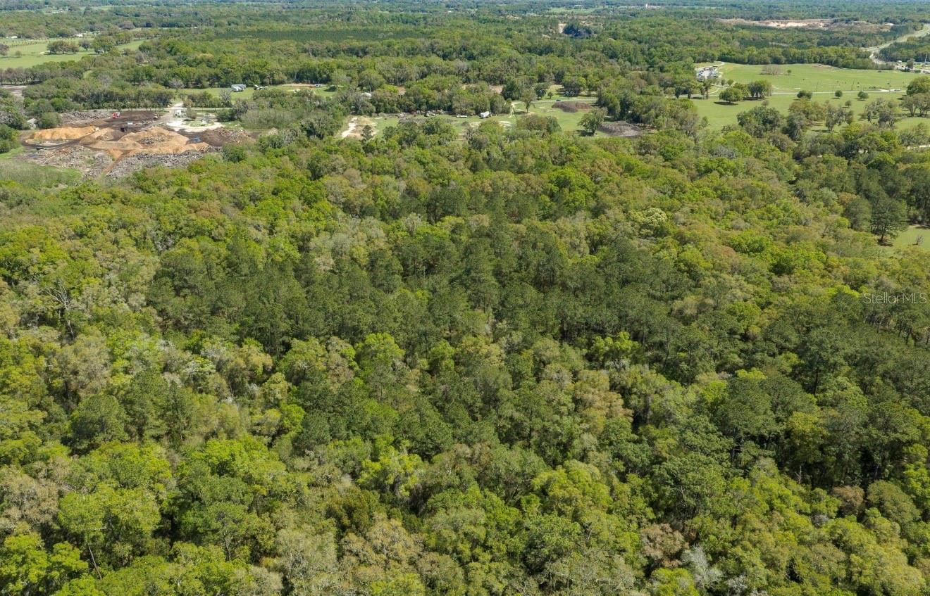 1 NW 38TH AVE #OF, OCALA, FL, 34482