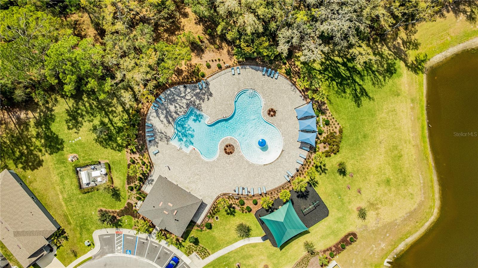 3176 GOOSE RD, DAVENPORT, FL, 33837