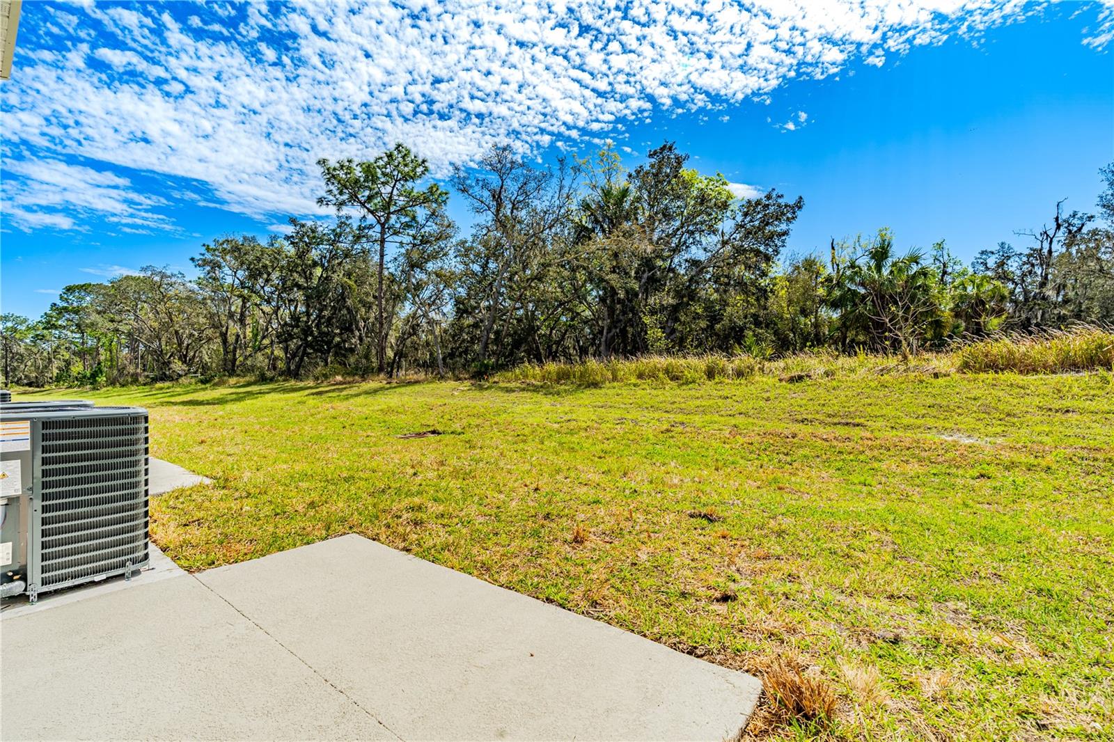 3176 GOOSE RD, DAVENPORT, FL, 33837