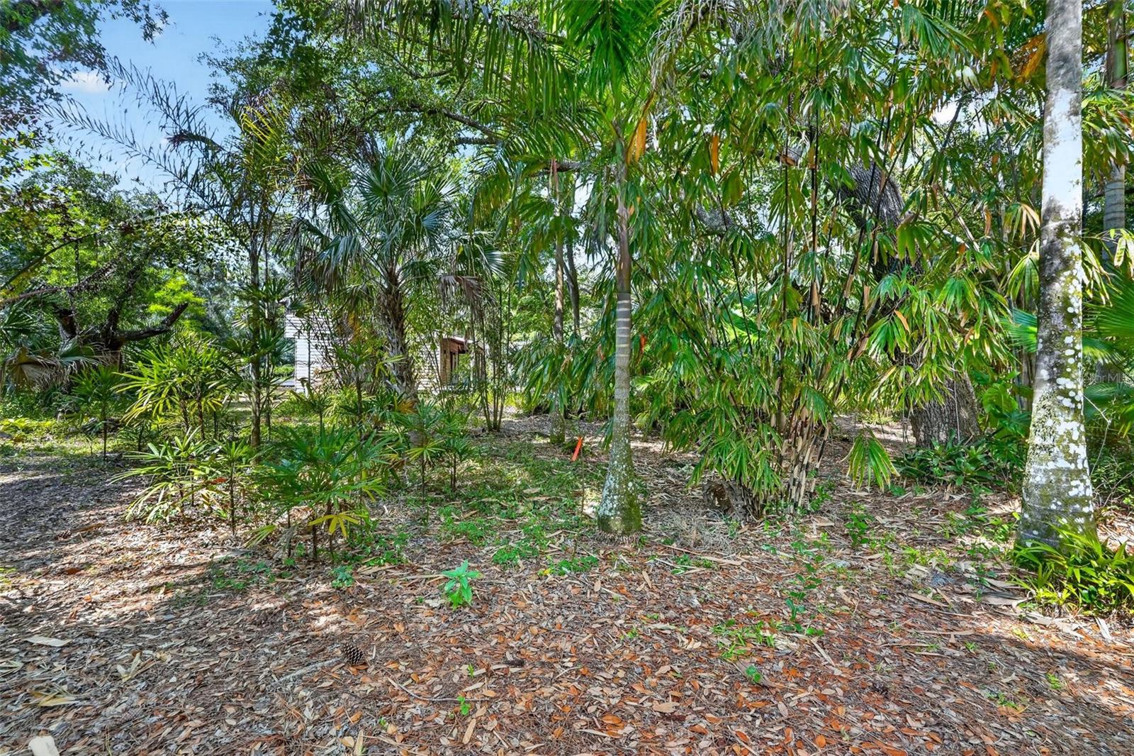 16409 WINBURN PL, SARASOTA, FL, 34240